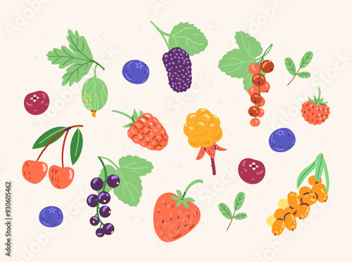 Ripe berries vector illustrations set. Cherry, red and black currant, strawberry, cloudberry, mulberry, sea-buckthorn, cranberry, blueberry, raspberry, gooseberry with leaves.