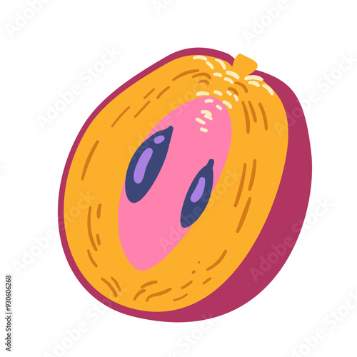 Sapodilla half doodle vector illustration isolated on white.
