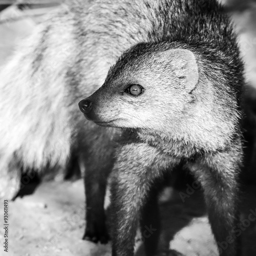 Florilège de voyage