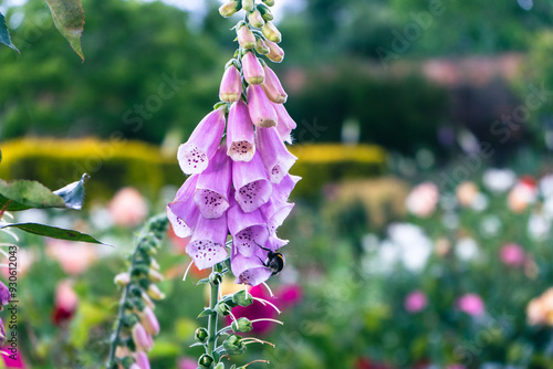 Florilège de voyage