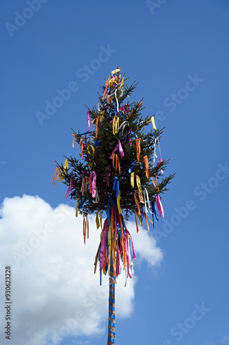 Maibaum photo