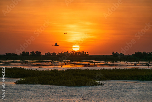Photos Atardecer increíble en el Bañado La Estrella, Formosa, Argentina