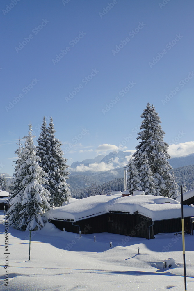 Obraz premium Kaiserwetter bei der Winkelmoosalm 5