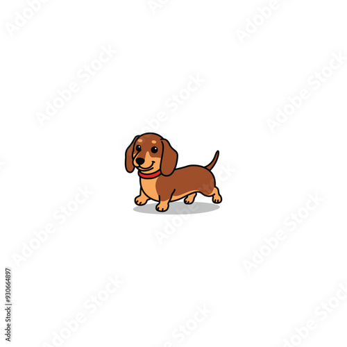 Cute dachshund dog walking cartoon, vector illustration