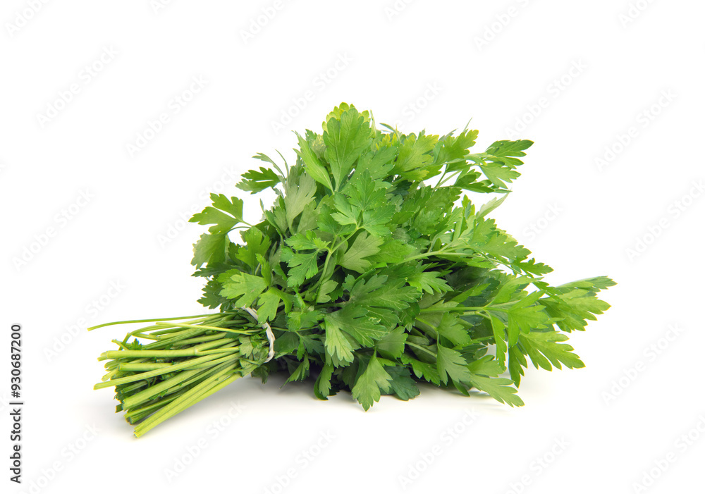 Fresh green parsley bunch on white background. Fresh green parsley bunch on white background.