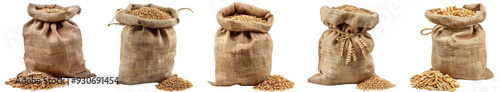 Pack of Wheat in sack bag set isolated against transparent background photo