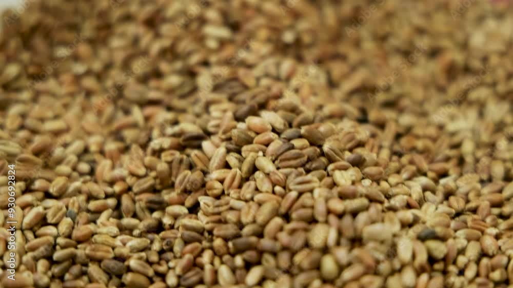 close up of a pile of buckwheat close up of a pile of buckwheat