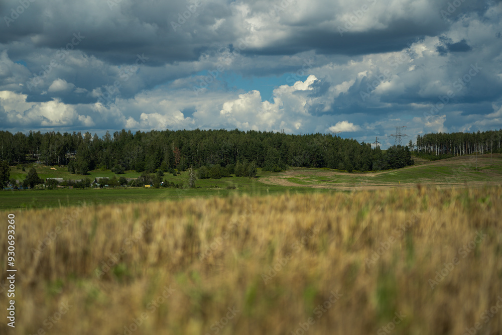 Fototapeta premium Thick clouds are flying low in the sky over green and yellow fields