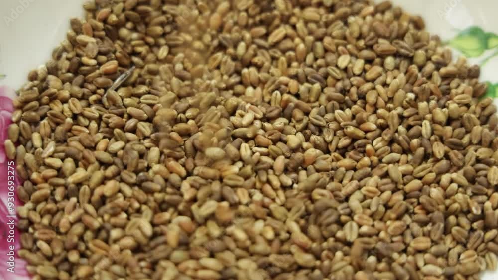 close up of a pile of buckwheat close up of a pile of buckwheat