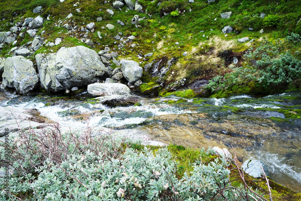A flowing mountain stream cuts through rocky terrain, surrounded by vibrant green moss and alpine vegetation. The water cascades over large boulders. A flowing mountain stream cuts through rocky terrain, surrounded by vibrant green moss and alpine vegetation. The water cascades over large boulders.