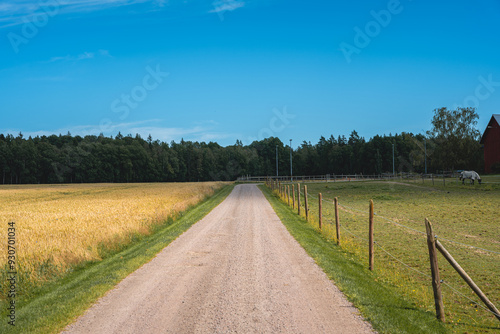 Dirt road in the countryside