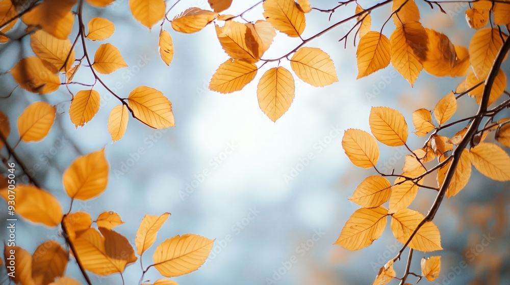 A delicate frame of golden autumn leaves and thin twigs, with a soft vignette effect to focus attention on the center A delicate frame of golden autumn leaves and thin twigs, with a soft vignette effect to focus attention on the center