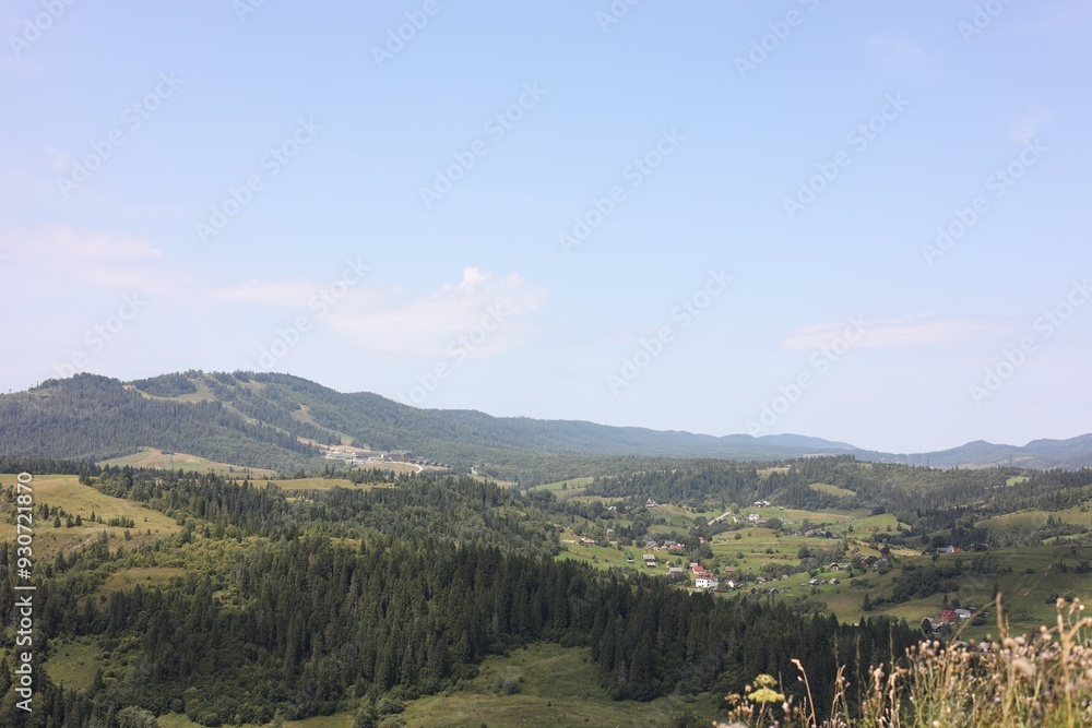 Obraz premium Picturesque view of forest in mountains under blue sky