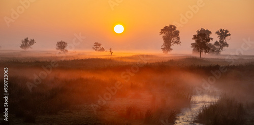 sunrise over grass land in national park weerribben wieden near Giethoorn in the neherlands photo