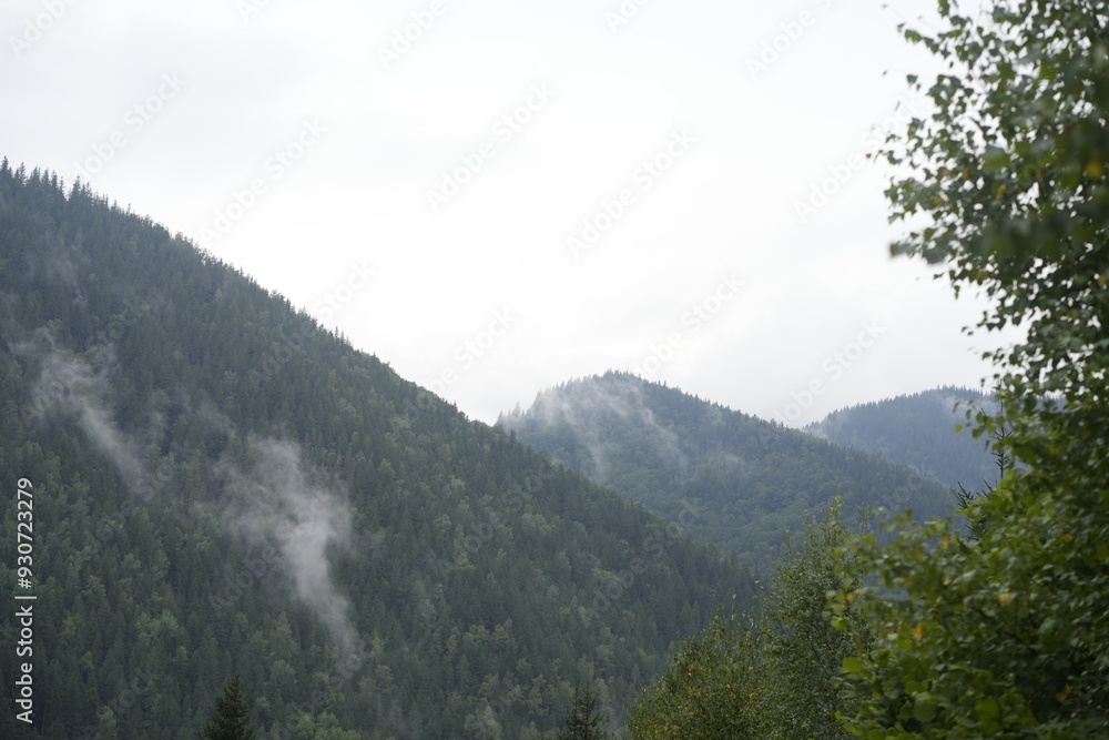Beautiful view of forest in mountains under sky Beautiful view of forest in mountains under sky