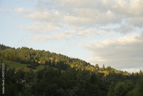 Picturesque view of forest in mountains under sky