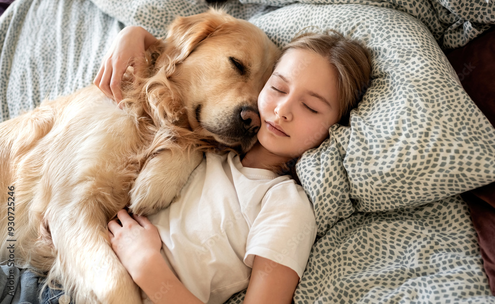 Cute Little Girl Sleeping With Golden Retriever Dog In Embrace In Bed Cute Little Girl Sleeping With Golden Retriever Dog In Embrace In Bed