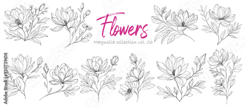 Set of hand drawn magnolia flowers and leaves.  Floral design elements.