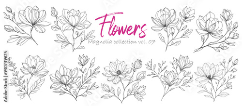 Set of hand drawn magnolia flowers. Floral design elements.