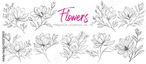 Set of hand drawn magnolia flowers and leaves.  Floral design elements.
