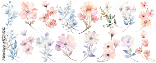 Watercolor flowers set. Hand painted illustration. Isolated on white background.
