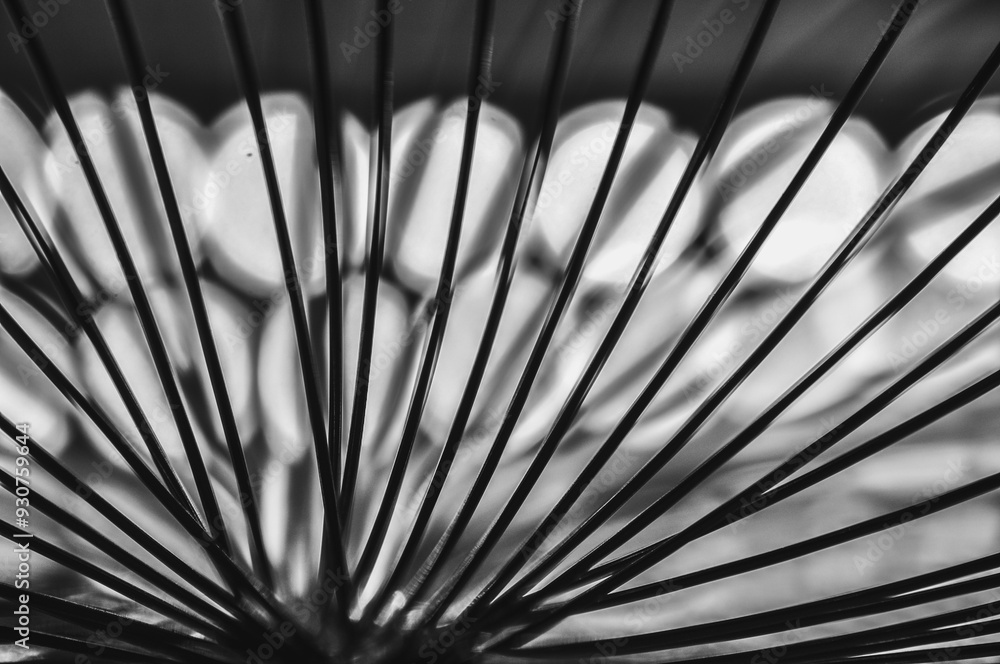 Obraz premium Close-up macro of a thin wire backlit in black and white abstraction macrophotography