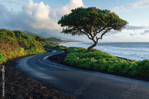 Black Sand Beach Maui at Waianapanapa State Park, Hawaii. Natural Beauty of Maui Island photo