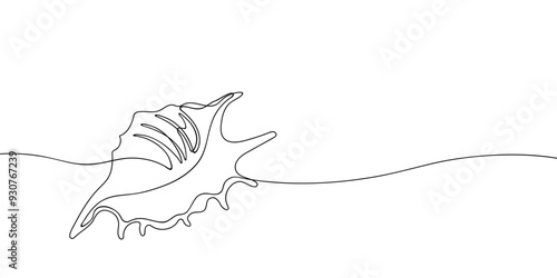 Sea shell in continuous line art drawing style. Hand drawn vector illustration. Minimalist black linear sketch isolated on white background. photo