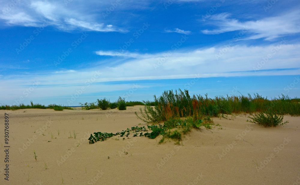 piaszczysta wydma nadmorska, piaszczysta wydma z trawami na tle niebieskiego nieba, seaside sand dune, sand dune with grasses against the background of the sky, nadmorski pejzaż