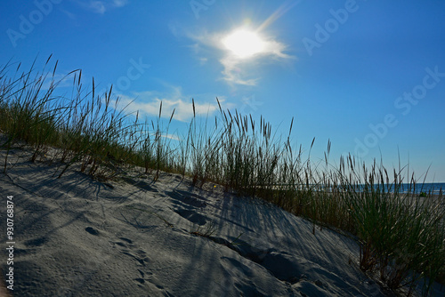 Obraz na płótnie trawy wydmowe, trawy na nadmorskiej wydmie, trawy na piaszczystej wydmie, Piaskownica zwyczajna, Calamagrostis arenaria or Ammophi, dune grasses, beach grass,sand dune with marram grass
w salonie