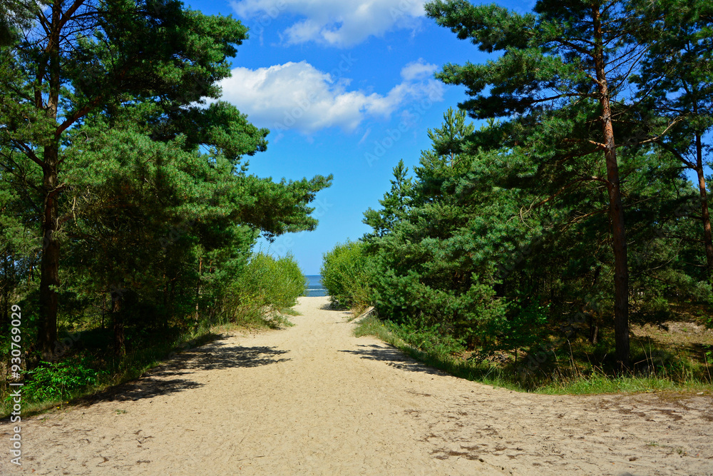 przejście na plażę, nadmorski krajobraz, piaszczysta ściezka i błękitne niebo z białymi churami, passage to the beach, seaside landscape, sandy path and blue sky with white clouds