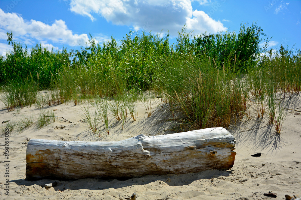 kłoda drewna na plaży na tle morza, drewniana kloda na piaszczystej wydmie nadmorskiej, malowniczy pejzaż nadmorski, logs on the sand on the sea shore, beach scene, wooden logs on a sandy