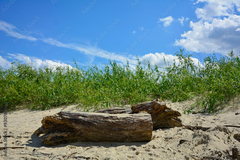 kłody drewna na plaży na tle morza, drewniane klody na piaszczystej wydmie nadmorskiej, malowniczy pejzaż nadmorski, logs on the sand on the sea shore, beach scene, wooden logs on a sandy