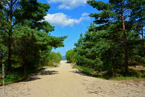 Obraz na płótnie przejście na plażę, nadmorski krajobraz, piaszczysta ściezka i błękitne niebo z białymi churami, passage to the beach, seaside landscape, sandy path and blue sky with white clouds w salonie