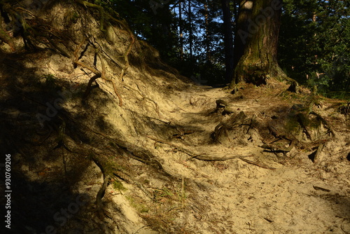 Obraz na płótnie jar, lesny, piaskowy, wąwóz, forest, ravine, sand, gorge, forest, w salonie