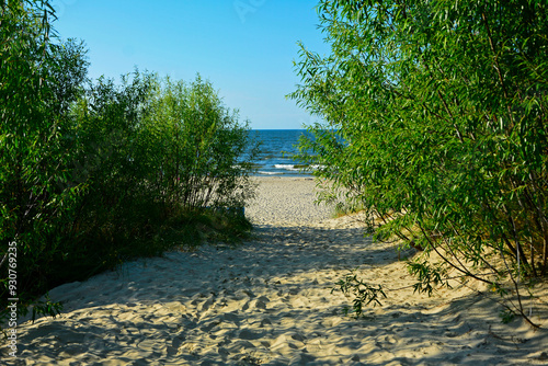 Obraz na płótnie przejście na plażę, nadmorski krajobraz, piaszczysta ściezka i błękitne niebo, passage to the beach, seaside landscape, sandy path and blue sky w salonie