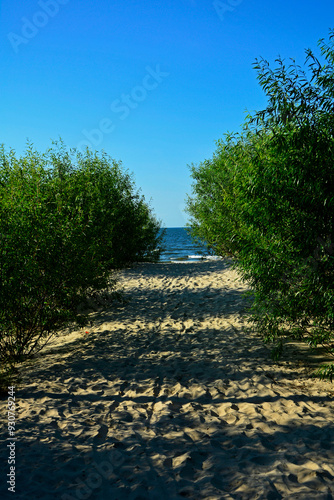 Obraz na płótnie przejście na plażę, nadmorski krajobraz, piaszczysta ściezka i błękitne niebo, passage to the beach, seaside landscape, sandy path and blue sky w salonie