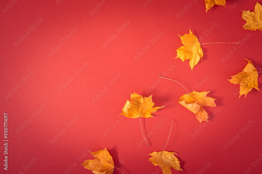 Autumn creative composition with leaves. Beautiful dried leaves on red background. Fall concept. Autumn red background. Flat lay, top view, copy space Autumn creative composition with leaves. Beautiful dried leaves on red background. Fall concept. Autumn red background. Flat lay, top view, copy space