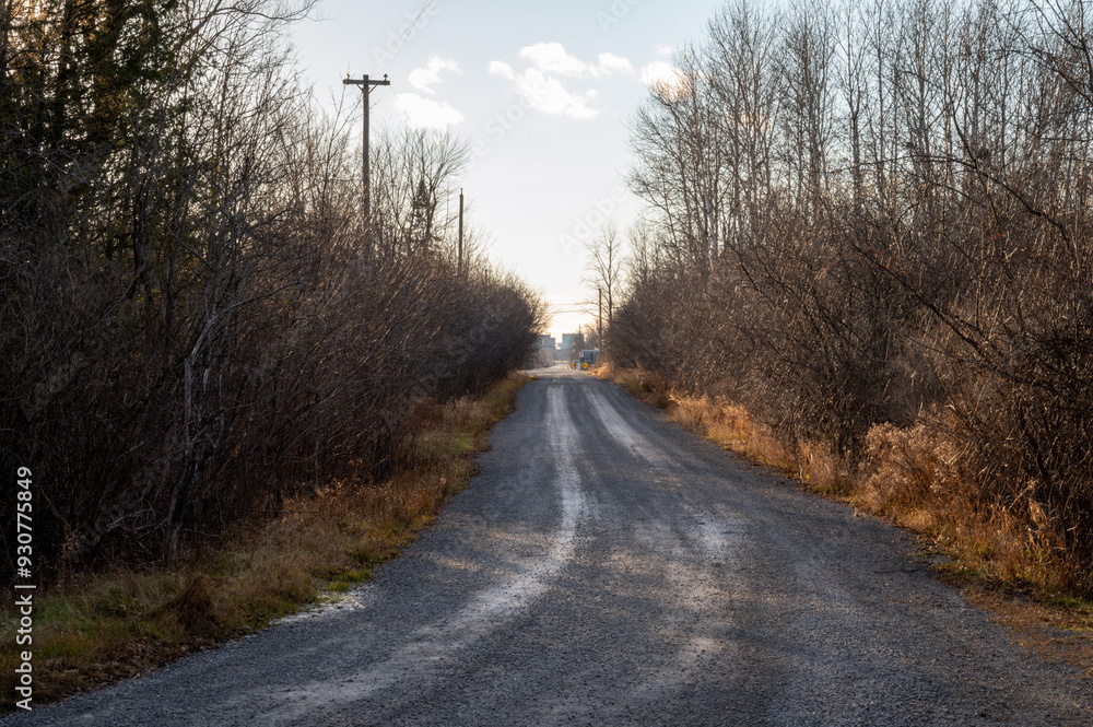 road in autumn road in autumn