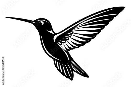 Hummingbird vector art illustration