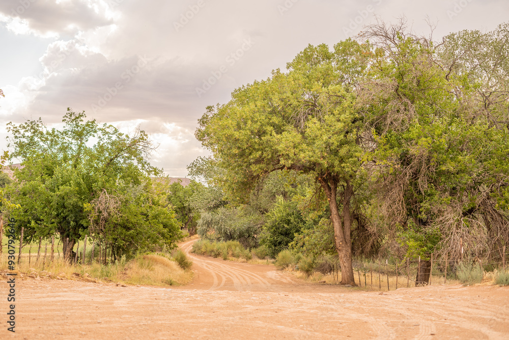 Fototapeta premium Path POV Adventure Dirt Trail