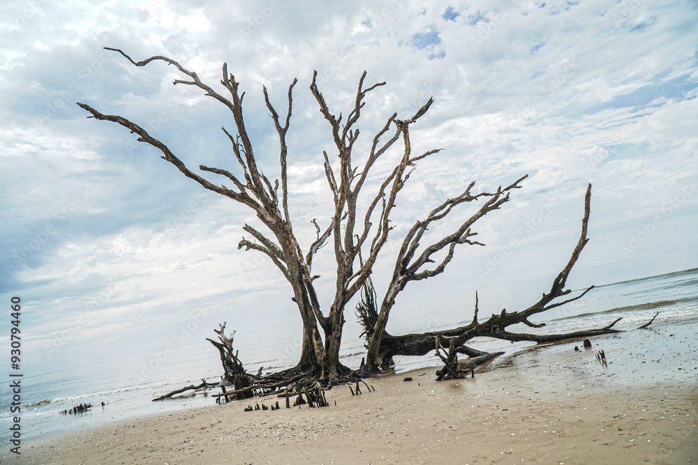 Botnay Bay - A beach full of life and death Botnay Bay - A beach full of life and death