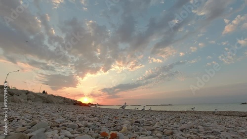 Gabbiani in riva al mare che volano, risoluzione 4k
