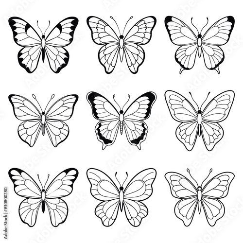 Wallpaper Mural Butterfly hand drawing line art collection vector illustration isolated on white background Torontodigital.ca