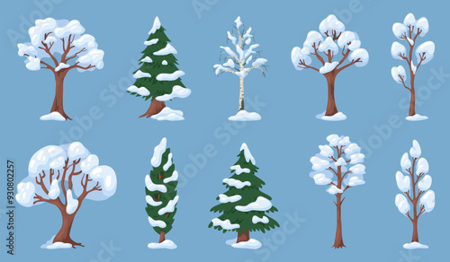 Trees with snow branches. Coniferous and deciduous plants. Winter snowdrifts in park. Evergreen spruce greenery. Snowy cypress and birch. Cold season nature. Wild forest. Recent vector set