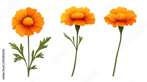 Three orange flowers with green stems