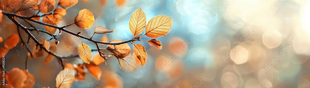 A beautiful close-up of autumn leaves against a softly blurred background, capturing the essence of fall's warm colors and tranquility. A beautiful close-up of autumn leaves against a softly blurred background, capturing the essence of fall's warm colors and tranquility.
