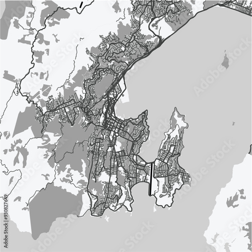 Map of Wellington in New Zealand in grayscale. Contains layered vector with roads water, parks, etc.