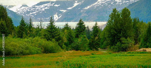 Scenes of the Abundent Nature in Alaska photo