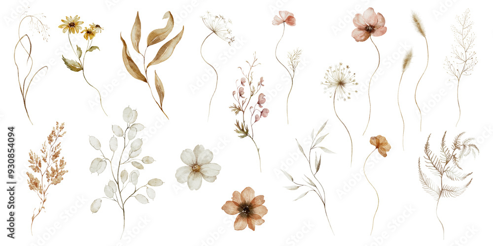 © Veris Studio - Watercolor floral illustration - wildflowers individual element set. Autumn fall dried flowers leaves branches. Wedding invitations prints wallpapers fashion background. Yellow white silver dull. © Veris Studio - Watercolor floral illustration - wildflowers individual element set. Autumn fall dried flowers leaves branches. Wedding invitations prints wallpapers fashion background. Yellow white silver dull.